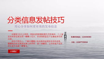 深圳撲來貓小湖科技推廣軟件 功能、試用與價格全面解析