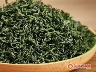 珍香茶葉 技術推廣驅動，品質與效益的雙贏之路