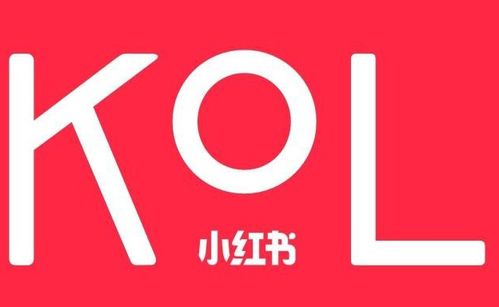 蕓眾科技 借力小紅書KOL達(dá)人，打造產(chǎn)品推廣種草與測評新范式